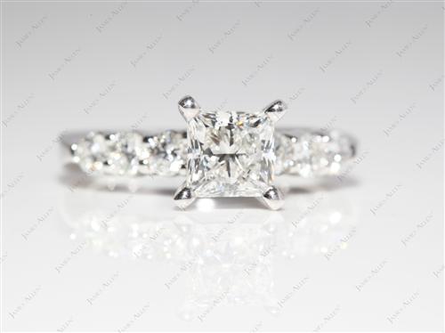 Platinum 1.01 Princess cut Engagement Ring Side Stones